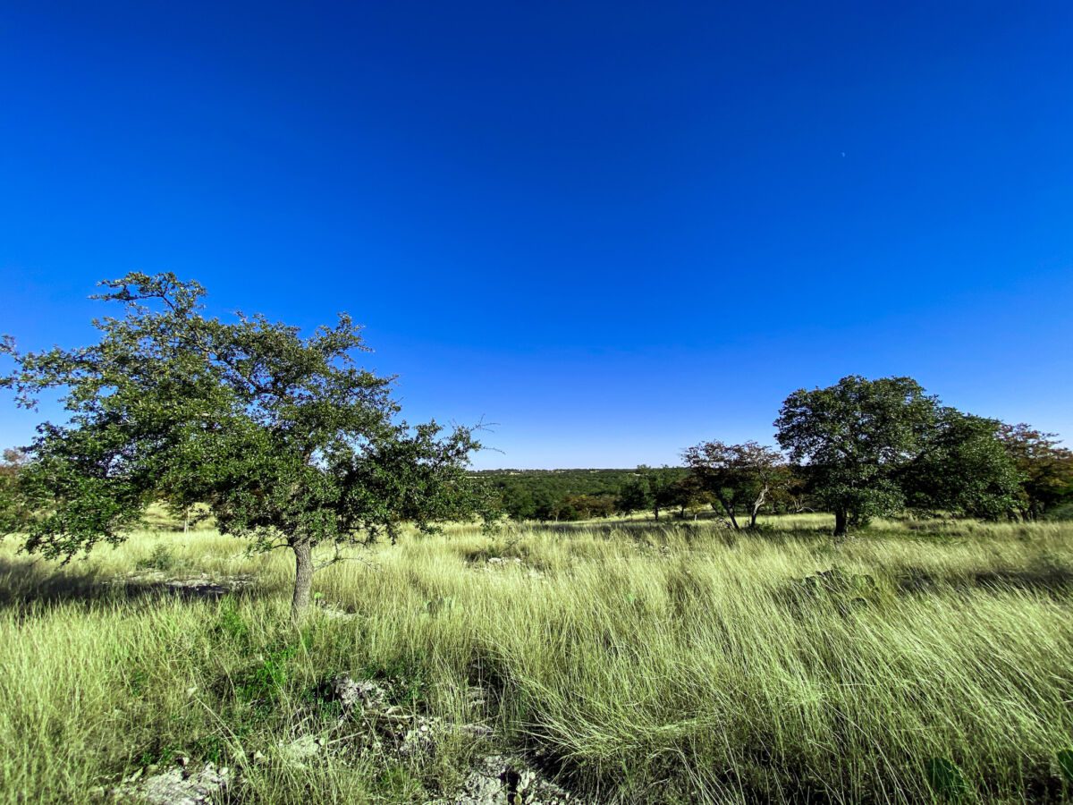 Lot 136 Loma Vista Ranch Brenda Overson 210 9709705